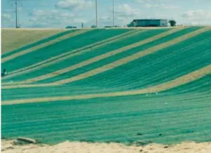 Curlex I - Erosion Control Blanket - 4' x 112.5' (Green)