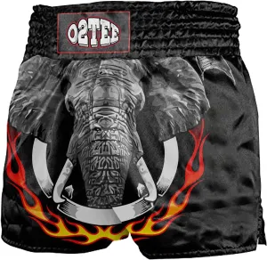 O2TEE Muay Thai Shorts Boxing Shorts MMA Kickboxing Traditional Styles Nation Shorts