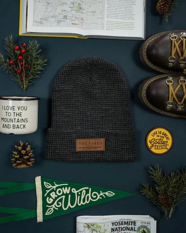 Wondery | The Official Parks Beanie